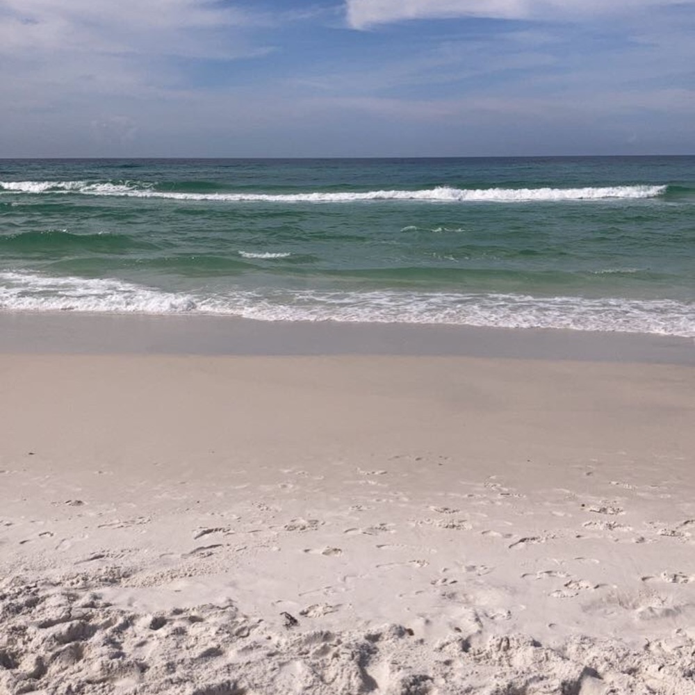 Meet your Posher, Autumn